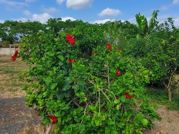 Finca en Venta Los Bajos de Montecristi