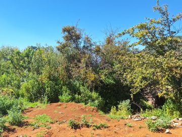 Terreno en venta en Francisco I. Madero, El Oro, Edo. México.