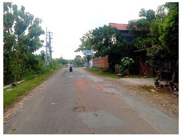 Tanah Dekat Calon Pintu Tol Sentolo, Area Bangun Kost