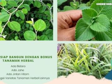 Tanah Strategis Di Maros 500 ribuan permeter di Jamin AMAN