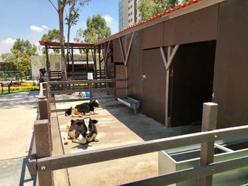 DEPARTAMENTO EN CLUB RESIDENCIAL BOSQUES