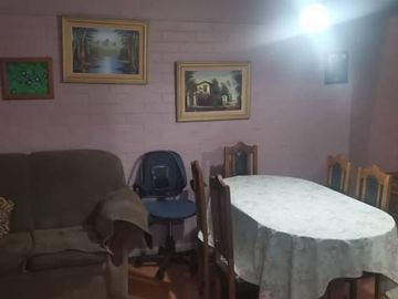 PORVENIR CON LAS PALMERAS
