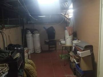 PORVENIR CON LAS PALMERAS