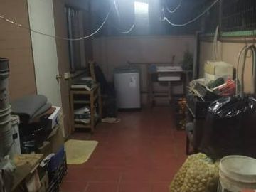 PORVENIR CON LAS PALMERAS