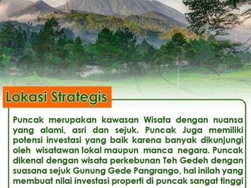 Villa untuk Investasi Hanya dengan CASH 325 Juta di Cianjur Cipanas