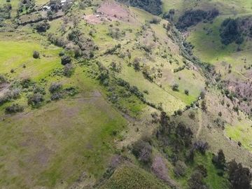 Finca - Norte de Paute