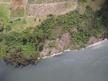 Finca - Norte de Paute