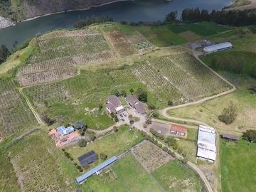 Finca - Norte de Paute