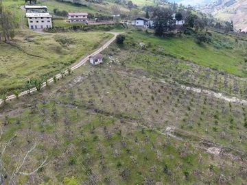 Finca - Norte de Paute