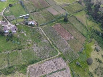 Finca - Norte de Paute