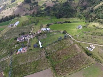 Finca - Norte de Paute