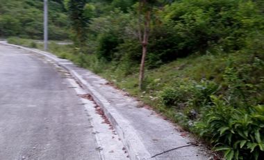 257 SQM SUBDIVISION LOT FOR SALE in VISTA VERDE CONSOLACION CEBU