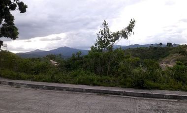 257 SQM SUBDIVISION LOT FOR SALE in VISTA VERDE CONSOLACION CEBU