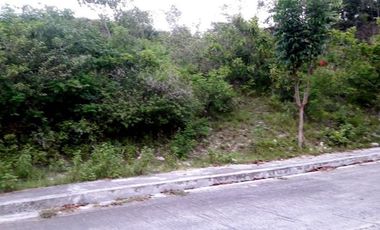 257 SQM SUBDIVISION LOT FOR SALE in VISTA VERDE CONSOLACION CEBU