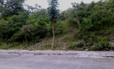 257 SQM SUBDIVISION LOT FOR SALE in VISTA VERDE CONSOLACION CEBU