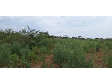 VENDO TERRENO MAS GALPON VIA GUAYAQUIL-NOBOL