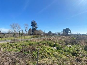 Parcela en venta en Curicó