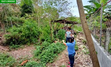 House and Lot for Sale in Liloan, Lot Area of 893 sqm