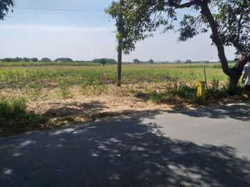DIJUAL TANAH KEPUHKLAGEN WRINGINANOM GRESIK