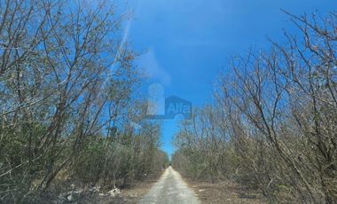 Terrenos en Venta Mérida, Yucatán, Komchen,
