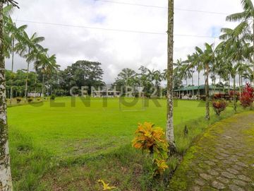 En Venta Terreno 50ha. Santo Domingo Km 7.5 vía Quininde