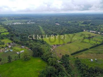 En Venta Terreno 50ha. Santo Domingo Km 7.5 vía Quininde
