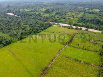 En Venta Terreno 50ha. Santo Domingo Km 7.5 vía Quininde