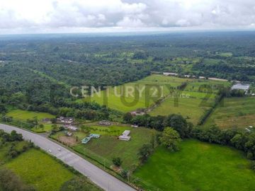 En Venta Terreno 50ha. Santo Domingo Km 7.5 vía Quininde