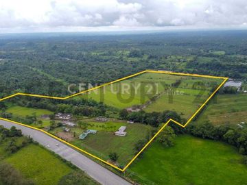 En Venta Terreno 50ha. Santo Domingo Km 7.5 vía Quininde
