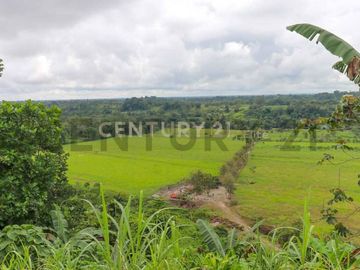 En Venta Terreno 50ha. Santo Domingo Km 7.5 vía Quininde