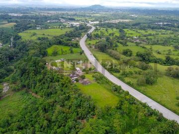 En Venta Terreno 50ha. Santo Domingo Km 7.5 vía Quininde