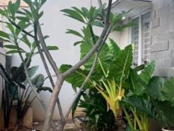 Rumah Keren 2 Lantai di Sektor 9 Jl. Cendana Bintaro 5629