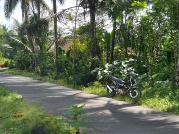 Tanah Kapling SHM, Borobudur Village Magelang Standar Perumahan