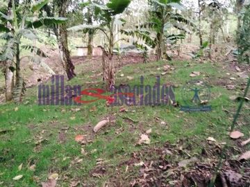 FINCA EN VENTA EN ALTO DEL NUDO/DOSQUEBRADAS