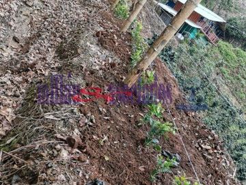 FINCA EN VENTA EN ALTO DEL NUDO/DOSQUEBRADAS