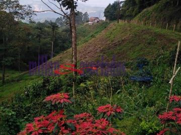 FINCA EN VENTA EN ALTO DEL NUDO/DOSQUEBRADAS