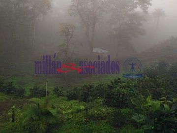 FINCA EN VENTA EN ALTO DEL NUDO/DOSQUEBRADAS