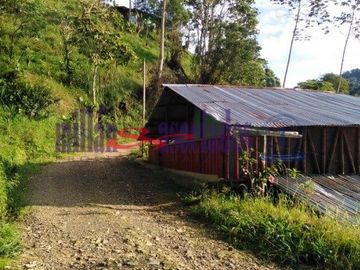 FINCA EN VENTA EN ALTO DEL NUDO/DOSQUEBRADAS