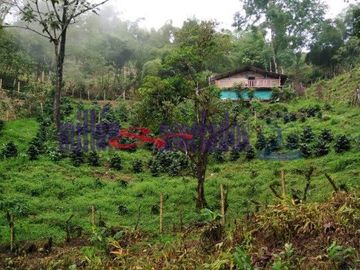 FINCA EN VENTA EN ALTO DEL NUDO/DOSQUEBRADAS