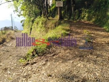 FINCA EN VENTA EN ALTO DEL NUDO/DOSQUEBRADAS