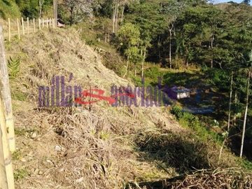 FINCA EN VENTA EN ALTO DEL NUDO/DOSQUEBRADAS