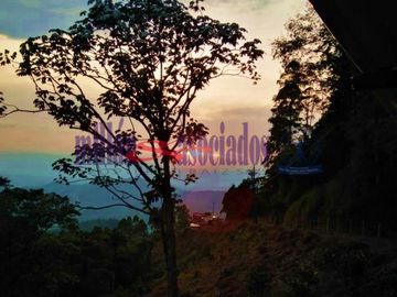FINCA EN VENTA EN ALTO DEL NUDO/DOSQUEBRADAS