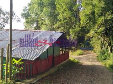 FINCA EN VENTA EN ALTO DEL NUDO/DOSQUEBRADAS