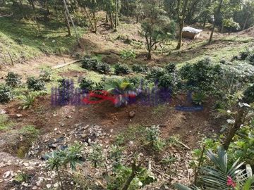 FINCA EN VENTA EN ALTO DEL NUDO/DOSQUEBRADAS