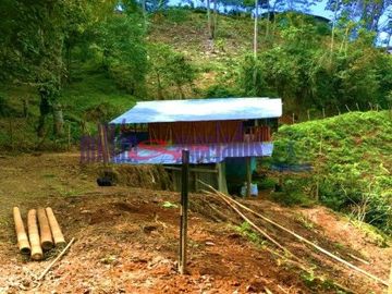 FINCA EN VENTA EN ALTO DEL NUDO/DOSQUEBRADAS