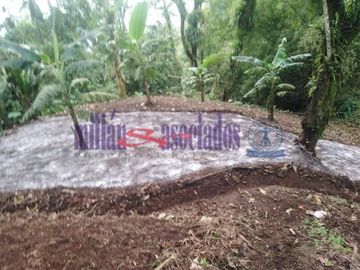 FINCA EN VENTA EN ALTO DEL NUDO/DOSQUEBRADAS