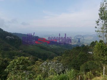 FINCA EN VENTA EN ALTO DEL NUDO/DOSQUEBRADAS