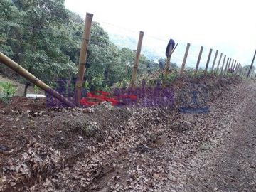 FINCA EN VENTA EN ALTO DEL NUDO/DOSQUEBRADAS