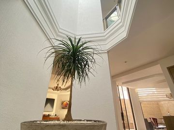 Increíble casa en Parques de la Herradura
