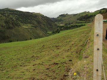 Venta de hacienda en Cayambe, 92 HA